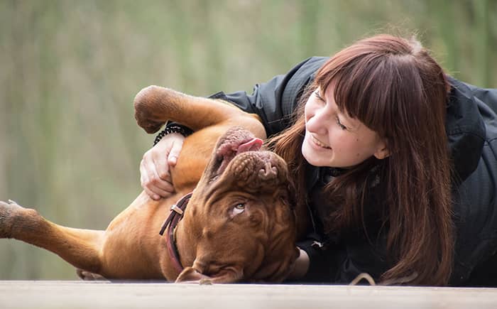 Chien complice avec Femme